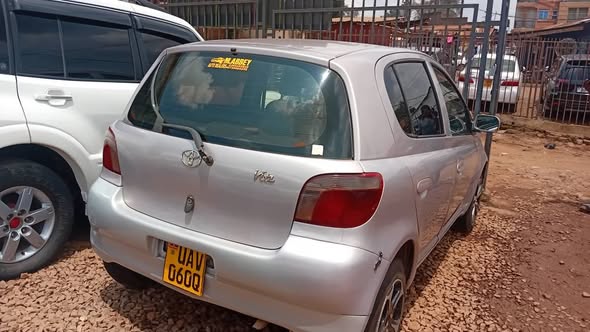 A picture of Vitz
