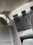 A picture of Big daddy 05