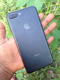 A picture of 255762353345