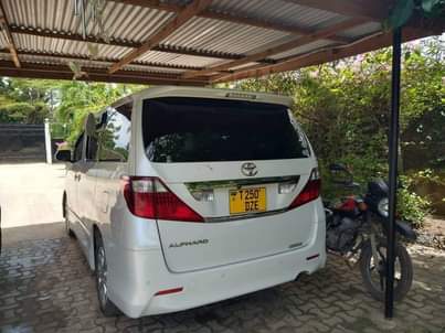 toyota alphard