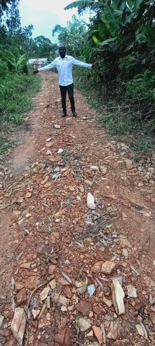 A picture of Titled plot for sale at namayumba estate