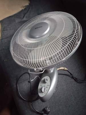 fans