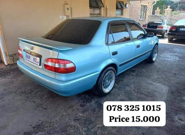 Thandolwethu M.