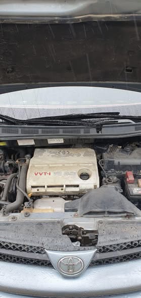 A picture of 2004 Toyota Sienna le