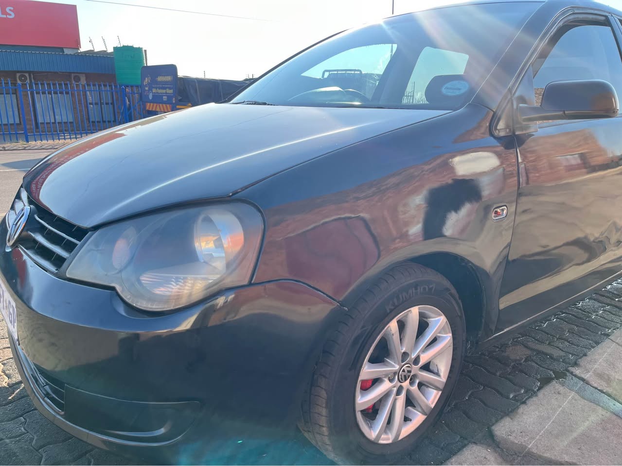 polo vivo