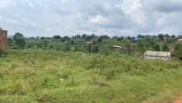 A picture of 2 plots 50 100 on sale