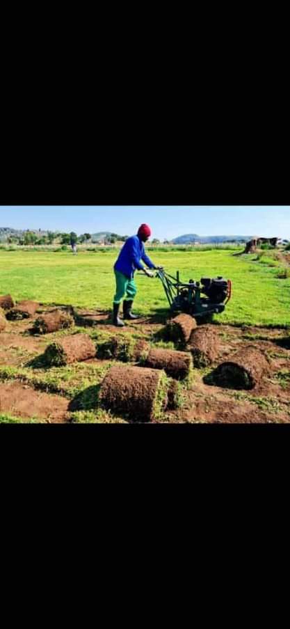 landscaping ssrvices