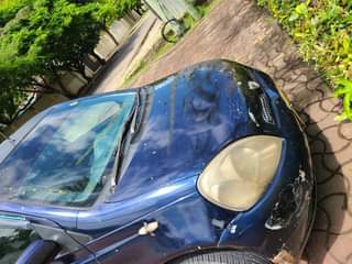 A picture of Vitz