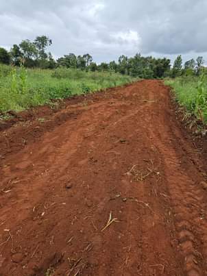 makutano plots