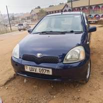A picture of Vitz