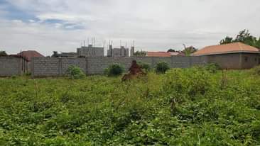 A picture of Quick sale matugga kakelenge estate Size 100by50ft with land title