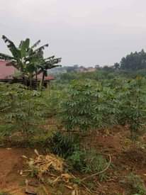 A picture of Quick sale plot 50 30 Namugongo Jogo town At 10m