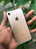 A picture of Iphone 7 plain