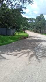 stands