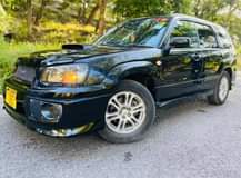 A picture of subaru