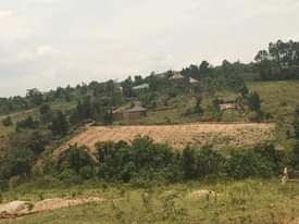 A picture of 4m get your Plot 56by32m matugga migadde 2km off main