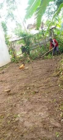 A picture of House with plot 12m only