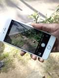 A picture of IPHONE 6 PLUS GB 16