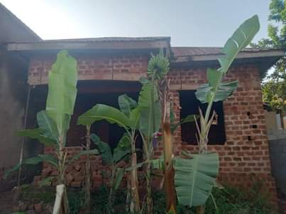 A picture of Makindye kizungu shell house