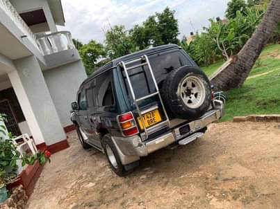 A picture of Pajero