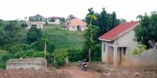 A picture of BIG PLOT WITH HOUSE ON SALE 50 100FT READY TITLE
