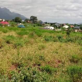 A picture of KIWANJA KINAUZWA kingolwira morogoro