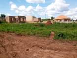 A picture of PLOT ON QUICK SALE 3M LOCATED MATUGGA KIWEBWA MANZE SIZE40X30FT