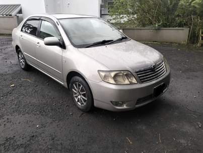used toyota corolla