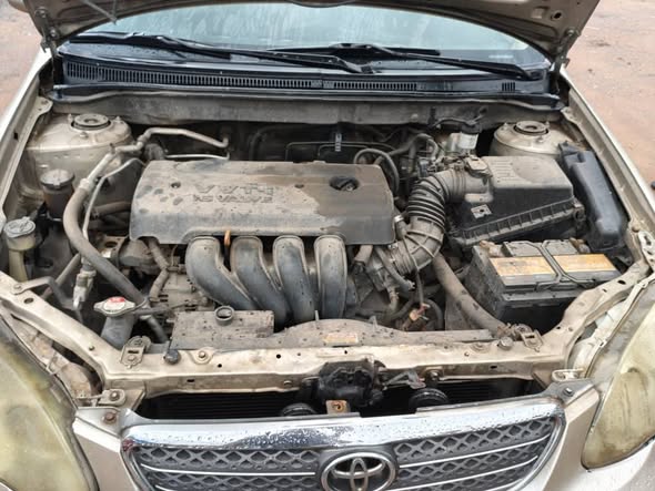 A picture of Corolla 2008