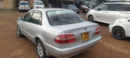 A picture of Kikumi kumi at least good condition buy and drive call