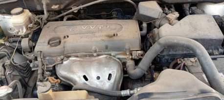 A picture of Harrier 12mln