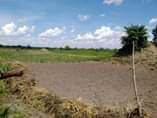 A picture of 40 acers for sale in Kayunga Bugerere starting on main