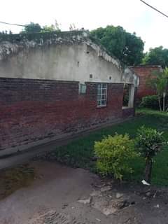 bricks