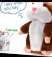 A picture of Buy Eid gift for your little ones Message Saadia on