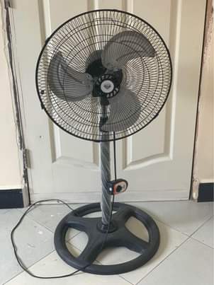 A picture of Feni