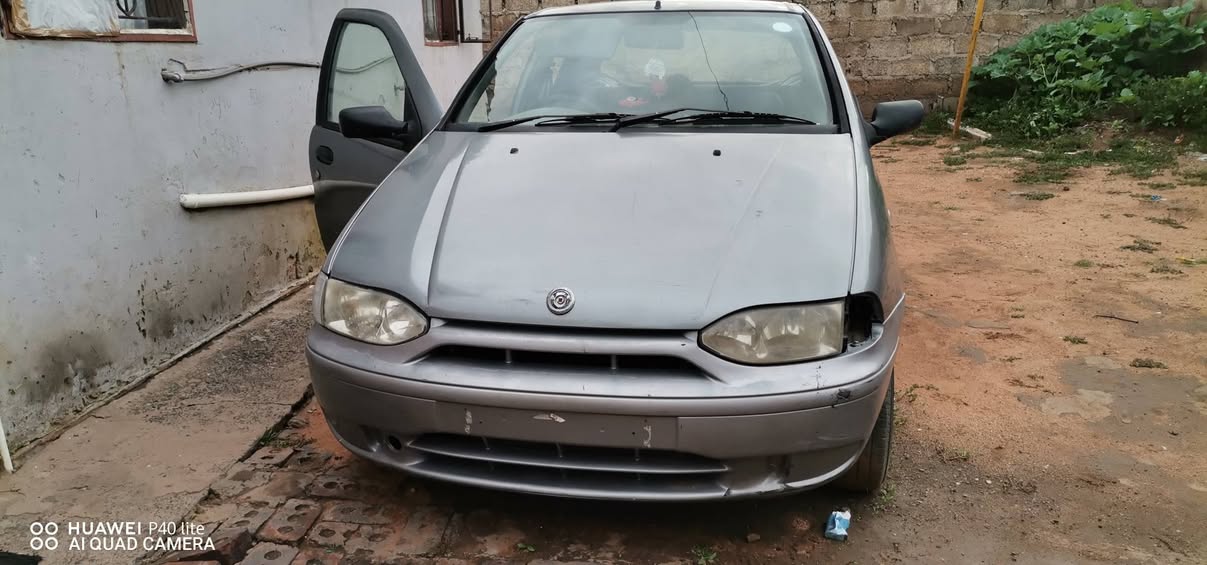 fiat palio