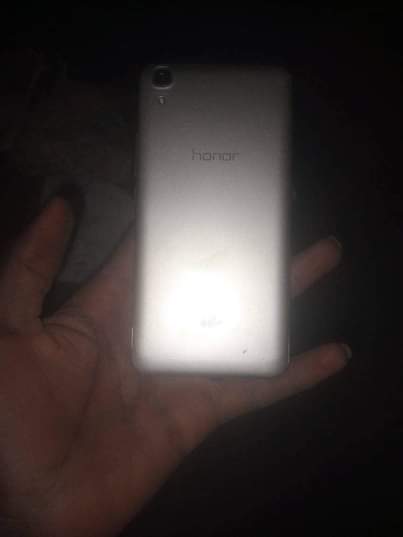 A picture of Honor