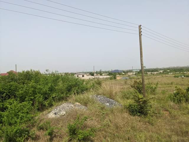 Barimah K.