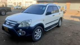 used honda crv