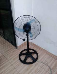 A picture of Feni