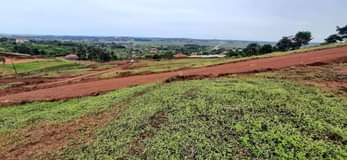 A picture of CHEAP CHEAP PLOTS AVAILABLE FOR SALE