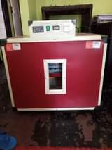 incubator