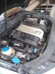 A picture of Passat