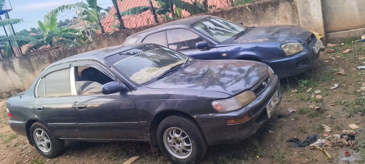 A picture of Cash 7M slightly negotiable