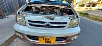 A picture of Noah For Sale Call 0657633355