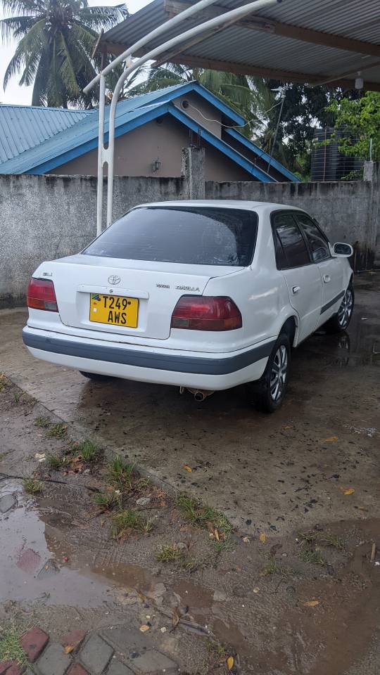 A picture of COLLORA INAUZWA 3 5M