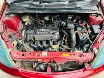 A picture of Vitz