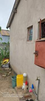 rooms to rent harare