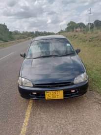 A picture of starlet