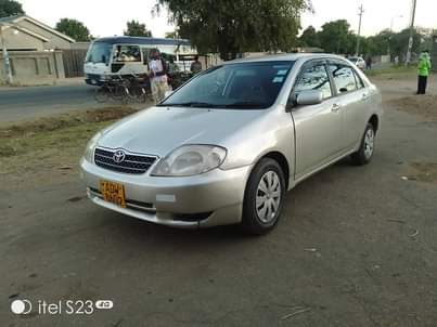 toyota corolla bubble